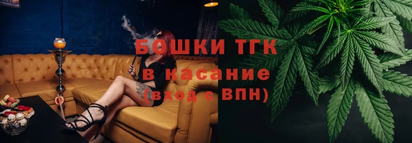 твердый Верхний Тагил