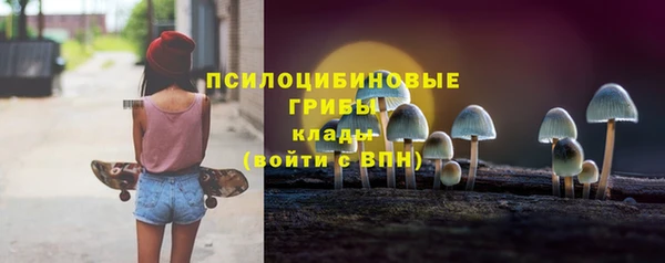 твердый Верхний Тагил